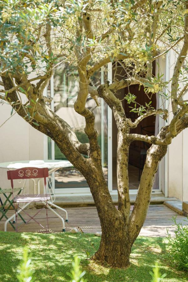 La Terrasse De L'Olivier Beaumes-de-Venise Bagian luar foto